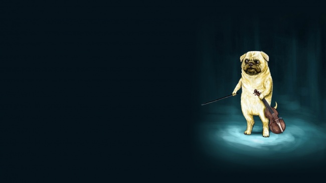 Dogs 22 (1920x1080) (30 wallpapers)