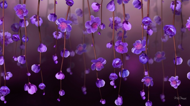 Floral wallpaper 600 (1920x1080) (30 wallpapers)